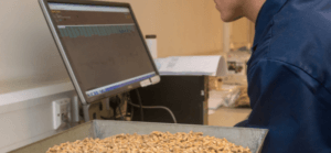 Biomass Analysis - Lab technician assessing Biomass contamination results from biomass testing
