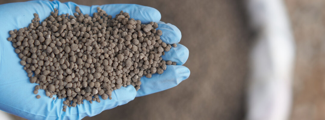 Sample of fertilizer pellets being held by inspector