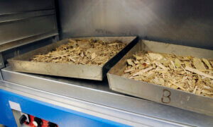 Tray of biomass wood chippings being weighed to obtain a representative sample