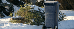 Christmas tree waste next to waste bin in the UK